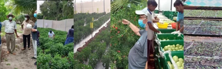 CONSULTANCY FOR AGRICULTURE TECHNOLOGY DEMONSTRATION PARKS (ATDPS) FOR FARMER PRODUCER ORGANIZATIONS (FPOS)