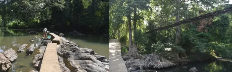 ENVIRONMENTAL IMPACT ASSESSMENT (EIA) FOR CONSTRUCTION OF KUMBUKKAN OYA RESERVOIR IN MONARAGALA DISTRICT