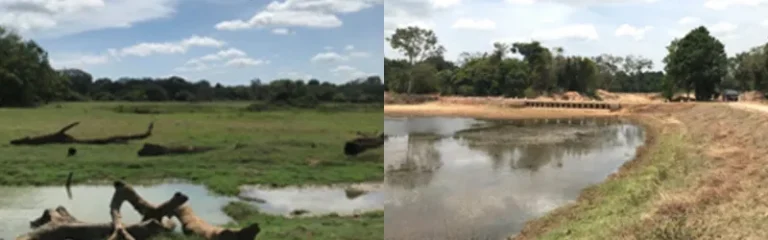 UPGRADING OF VILLAGE IRRIGATION SYSTEMS IN KUMBUK WEWA AND ETHABANDI WEWA CASCADES IN TRINCOMALEE DISTRICTS