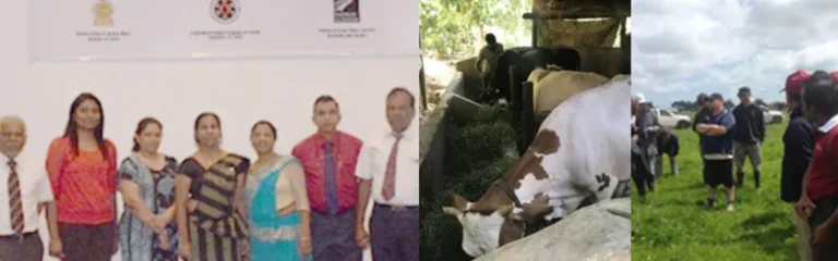 SRI LANKA DAIRY EXCELLENCE TRAINING INITIATIVES