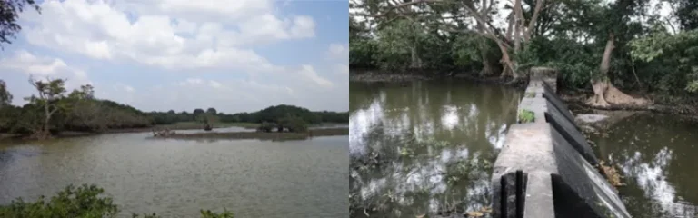 UPGRADING OF VILLAGE IRRIGATION SYSTEMS IN THUDDUVAIKULAM CASCADE IN AVUNIYA/ANURADHARAPURA DISTRICT