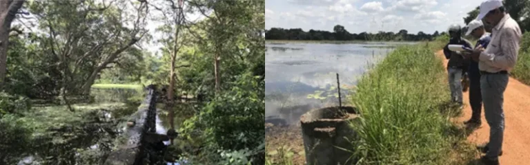 UPGRADING OF VILLAGE IRRIGATION SYSTEMS IN ALUTHHALMILLAWA CASCADE IN ANURADHAPURA DISTRICT