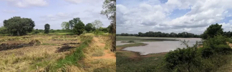 UPGRADING OF VILLAGE IRRIGATION SYSTEMS IN DIVUL WEWA, KARAMBA AND MINIHETTI CASCADES IN ANURADHAPURA DISTRICTS